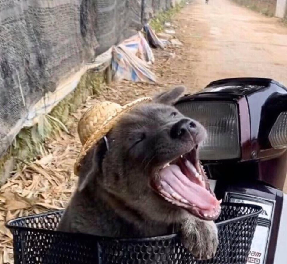 Hiện những hình ảnh hài hước của idol này vẫn nhận về nhiều lượt yêu thích từ mọi người.