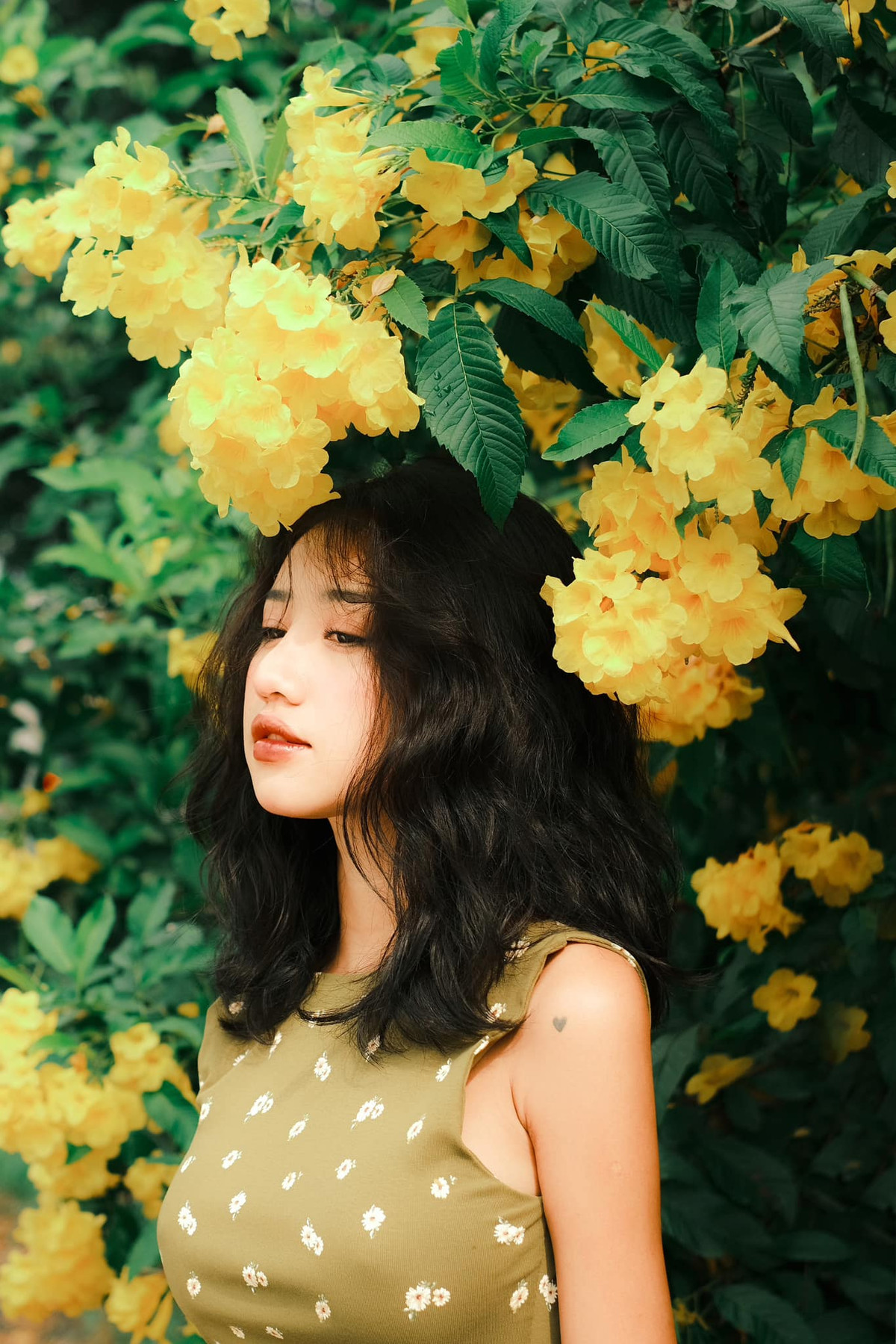 Dưới phần bình luận, netizen đều khen ngợi diện mạo mới sau tân trang của cô xinh hơn trước nhiều phần. "Trịnh Thảo sửa mũi thành công quá, xinh hơn trên phim gấp nhiều lần", "Bả sửa lại mũi nhìn đáng yêu hơn hồi đó luôn", "Hiện tại thấy giống bé Xuân Nghi hồi bé đi hát thế"...