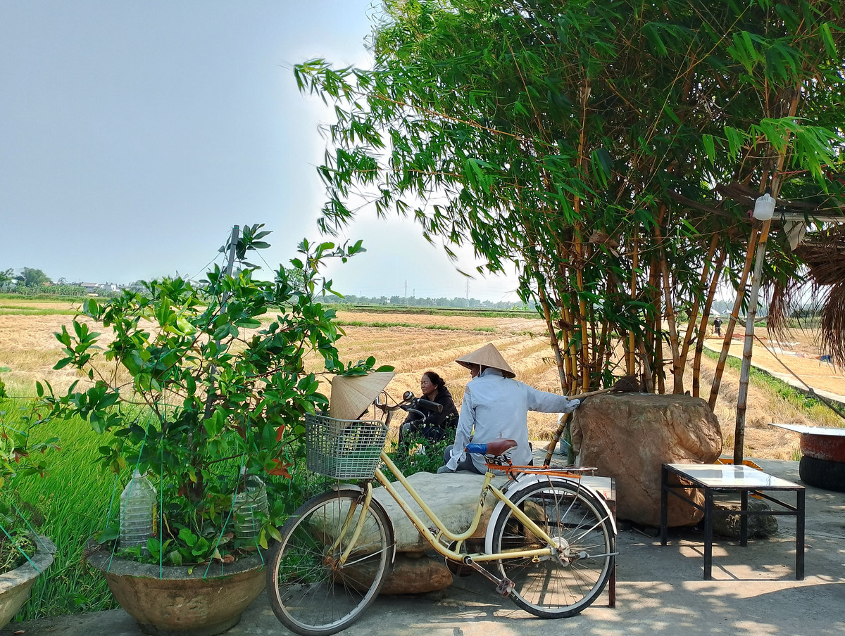 Làng cổ Phong Nam (xã Hòa Châu, huyện Hòa Vang, TP Đà Nẵng) nằm cách trung tâm thành phố khoảng 10km về phía Nam. Nơi đây dường như tách biệt với sự ồn ào, nhộn nhịp của chốn thị thành.