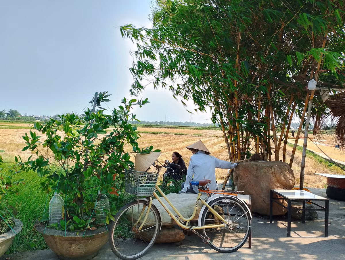 Làng cổ Phong Nam (xã Hòa Châu, huyện Hòa Vang, TP Đà Nẵng) nằm cách trung tâm thành phố khoảng 10km về phía Nam. Nơi đây dường như tách biệt với sự ồn ào, nhộn nhịp của chốn thị thành.