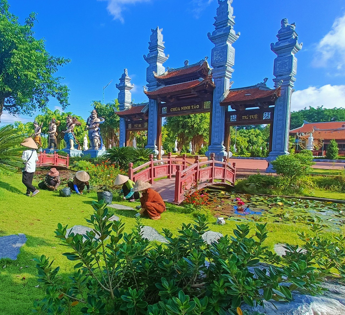 Tới chùa Ninh Tảo, bạn sẽ ấn tượng với màu xanh của cây cối vì Thầy trụ trì quý trọng môi trường, trân quý từng nhành cây, ngọn cỏ như chính hơi thở, lẽ sống của mình.