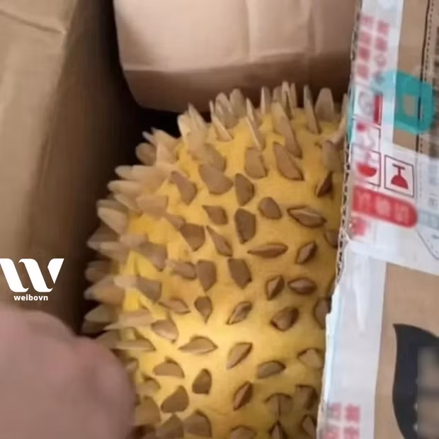 Mấy ngày nay đang rầm rộ vụ sale Black Friday , tất cả mặt hàng, từ quốc tế cho tới Việt Nam. Niềm vui chưa kịp nở hoa thì cũng có những nỗi buồn đã nổ với chuyện mua sầu riêng của một vị khách Trung Quốc.