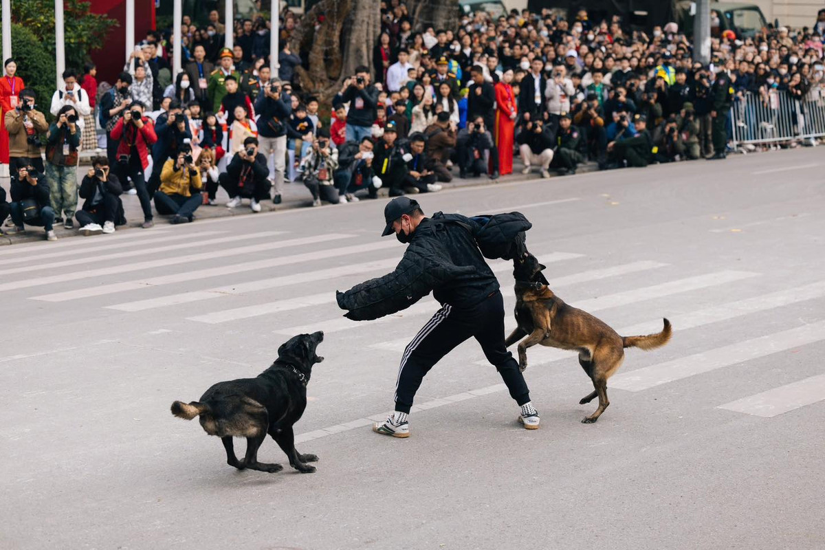 Những màn biểu diễn của những chú cảnh khuyển áp chế tội pháp khiến người dân vô cùng phấn khích.