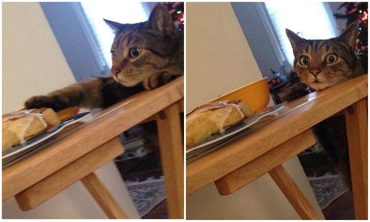 Nhìn chung, làm các món phơi nắng cần chú ý đặc biệt khâu bảo quản vệ sinh khi phơi, nhiều nhà còn đặt hẳn lưới, lồng để tránh sâu bọ, thú hoang.