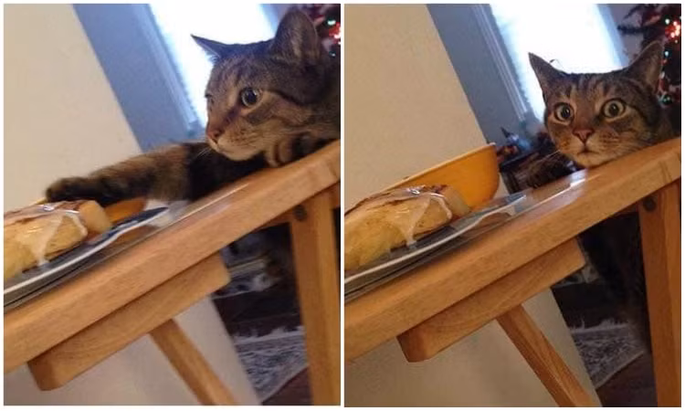 Nhìn chung, làm các món phơi nắng cần chú ý đặc biệt khâu bảo quản vệ sinh khi phơi, nhiều nhà còn đặt hẳn lưới, lồng để tránh sâu bọ, thú hoang.