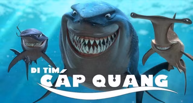 Sau 1 hồi truy tìm, nghi phạm số 1 về chuyện đứt cáp quang biển đã được dân mạng tìm ra và đó là cá mập.