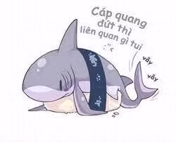 Theo chia sẻ của một số người dùng, sự cố đứt cáp quang biển quốc tế chỉ ảnh hưởng đến tốc độ truy cập các website quốc tế tại một vài thời điểm trong ngày.