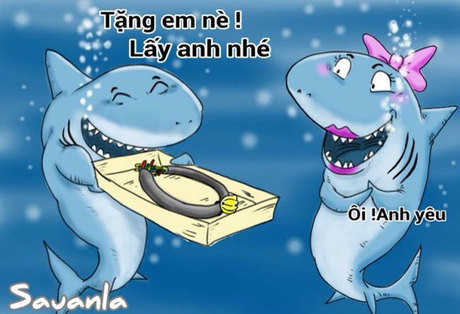 Trước đó, mỗi lần cáp quang biển có dấu hiệu gặp vấn đề, cá mập lại bị dân mạng réo tên.