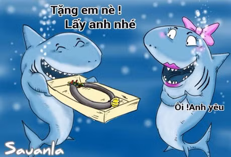 Trước đó, mỗi lần cáp quang biển có dấu hiệu gặp vấn đề, cá mập lại bị dân mạng réo tên.