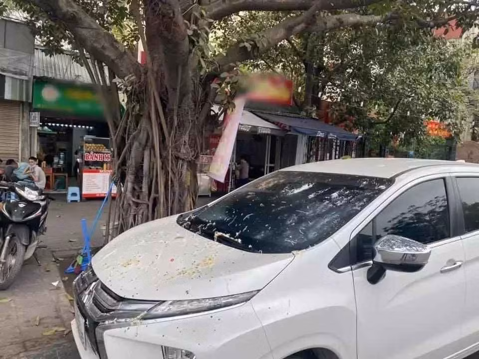 Đỗ chắn cửa hàng người khác, chiếc xe được "ăn" nguyên một bát phở.