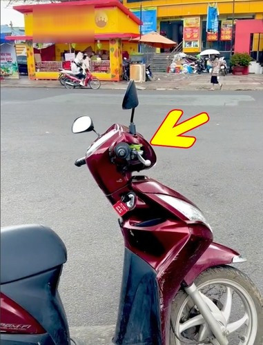 Trước đó, một cô gái trẻ đã lên MXH kể về câu chuyện sau khi thuê xe xong xuôi, đi khắp phố phường Đà Lạt mới phát hiện "bé na" đang nằm ngoan ngoãn gần tay lái.