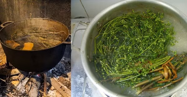 Sau khi bánh chưng được vớt, chính nước của ngồi bánh chưng sẽ trở thành nước tắm của cả nhà với những bó mùi già được bỏ vào.