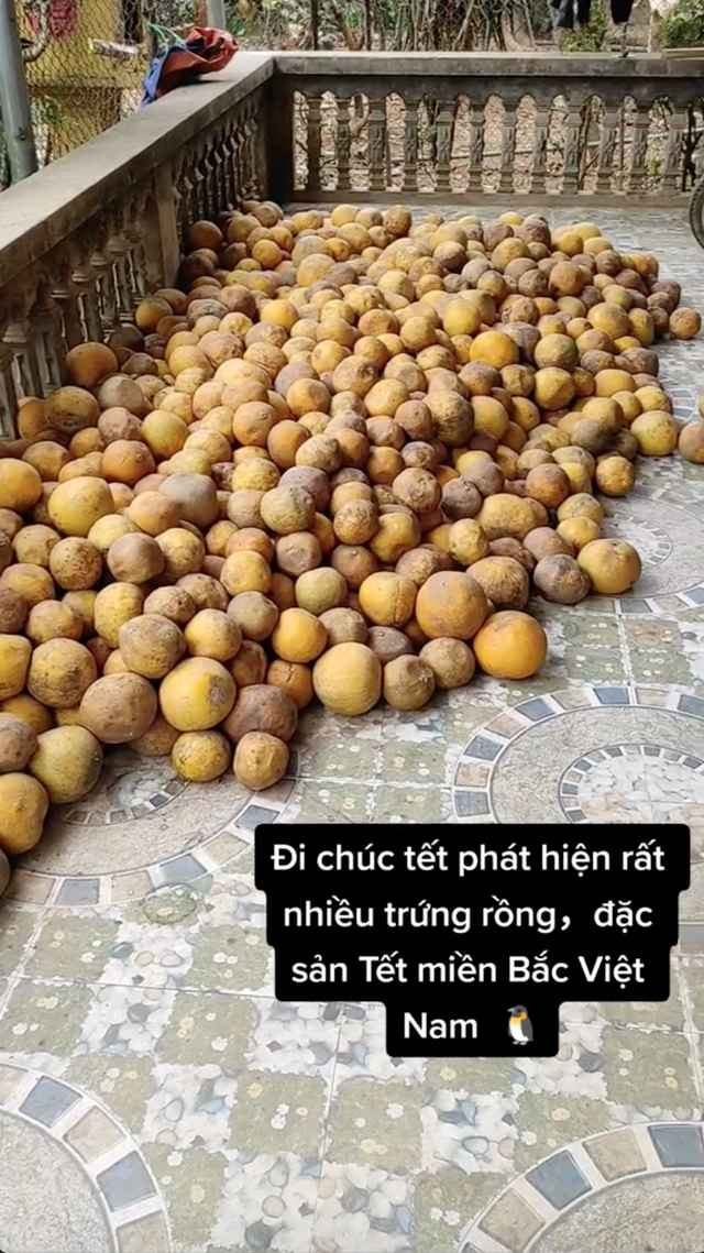Đặc điểm là bưởi dễ ăn, để lâu xuống nước càng ngon và ít bị thối hỏng. Chính vì thế, nhiều gia đình đã mạnh tay chi tiền mua loại quả này về ăn Tết.