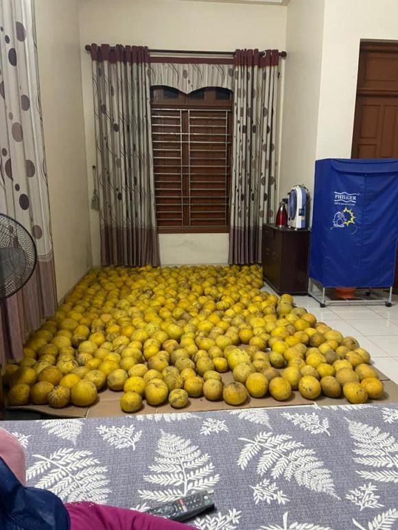 Tâm lý "tích trữ" mùa Tết, muốn trong nhà có nhiều đồ ăn với mong muốn một năm sung túc, đủ đầy cũng là lý do phần nào của những hình ảnh này.