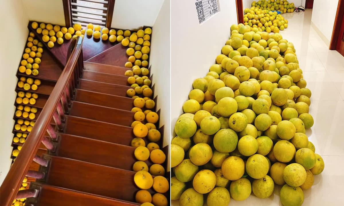 Quả thật, hình ảnh tương tự thế này xuất hiện tại rất nhiều gia đình miền Bắc trong những ngày Tết.