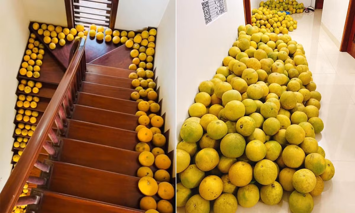 Quả thật, hình ảnh tương tự thế này xuất hiện tại rất nhiều gia đình miền Bắc trong những ngày Tết.