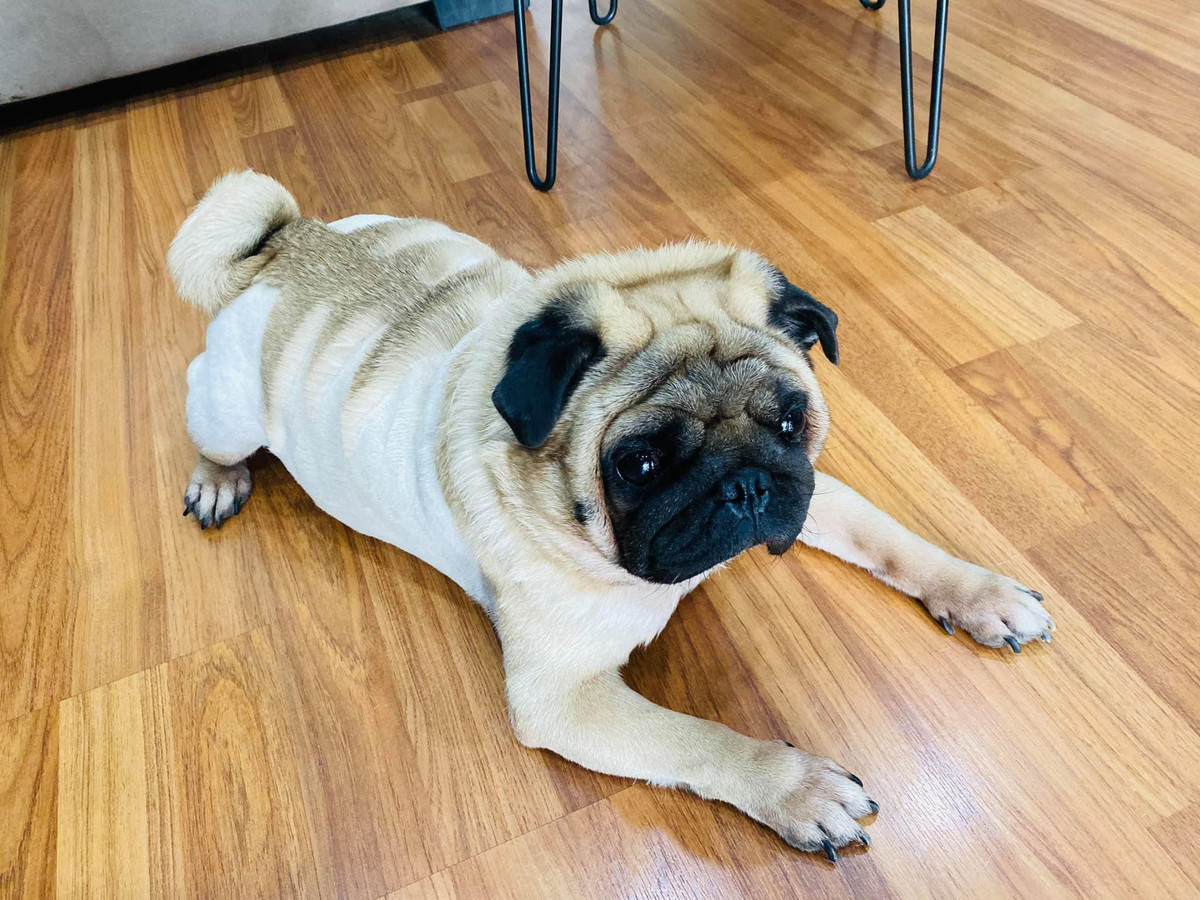 Cách đây chưa lâu, V.N.B cùng Vũ Văn Phở đã cùng nhau thực hiện hành trình xuyên Việt bằng xe ô tô. Đi đến đâu, cả "con sen" và "boss" đều chụp ảnh check-in và cùng nhau trải nghiệm nhiều điều thú vị trên khắp các vùng miền của đất nước.