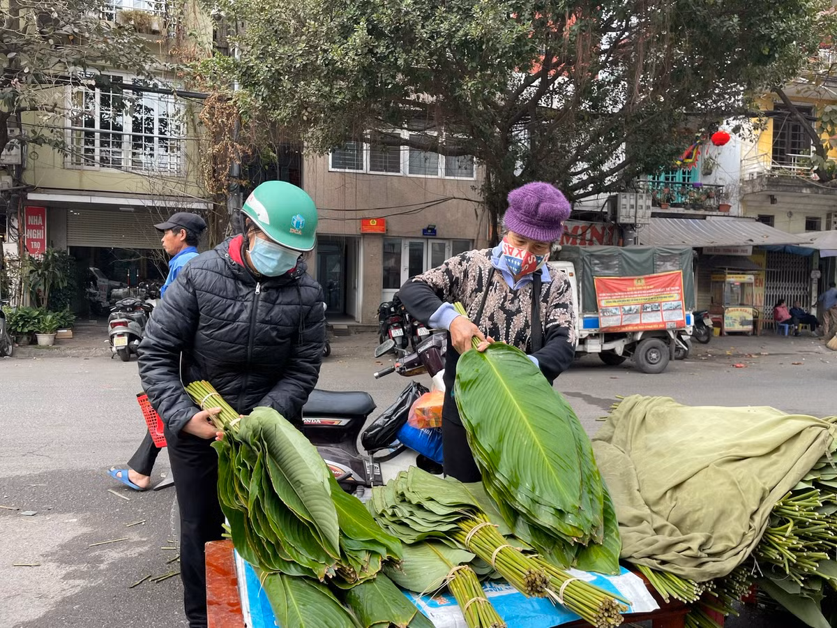 Những người mua lá dong về gói bánh thường chọn rất kỹ từng bó.