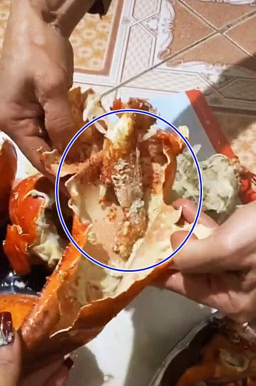 Bên cạnh đó, khổ chủ đã phải thốt lên rằng đây sẽ là lần cuối cùng quyết định đặt mua online món đồ xa xỉ này, nghe lời dân mạng khuyên lần sau cứ ra cửa hàng hải sản tươi sống để chọn cho yên tâm.