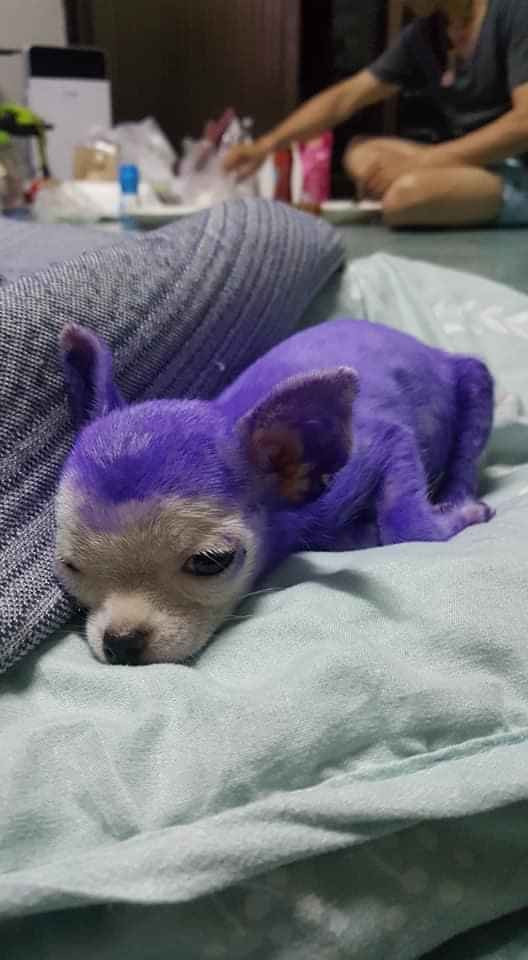 Những hình ảnh này khiến cộng đồng mạng phải cảm thán không thôi và nhanh chóng nhận về bão like.