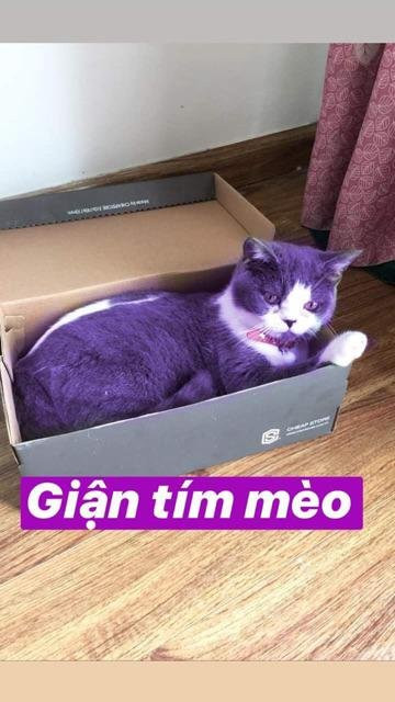 Loài thuốc khiến các boss trở nên "giận tím" có tên thuốc tím, một trong những loại dùng để chữa ghẻ, chữa viêm da.