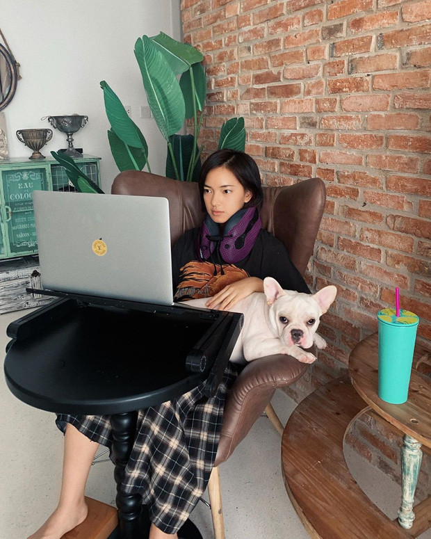 Châu Bùi hễ đi xa thì thôi chứ cứ về nhà là quấn quít 2 em thú cưng không rời. Ảnh: FBNV