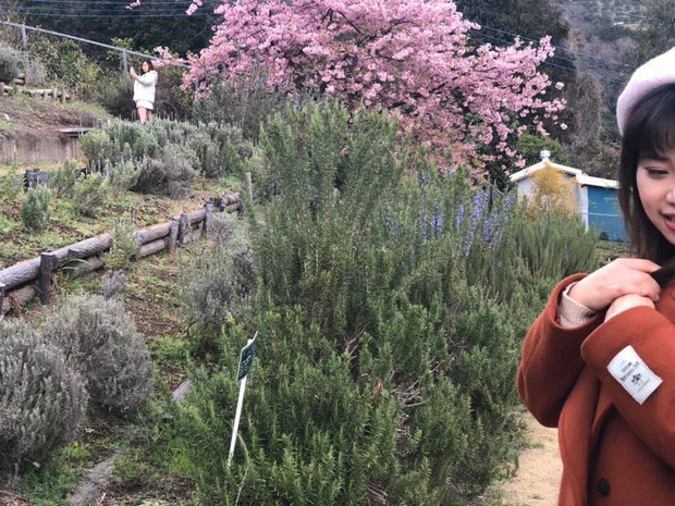 Mới đây trên mạng, loạt ảnh hội chị em khoe nhờ người yêu chụp ảnh hộ khiến nhiều người phải giật mình khi chủ thể và bố cục của nó không hề rõ ràng.