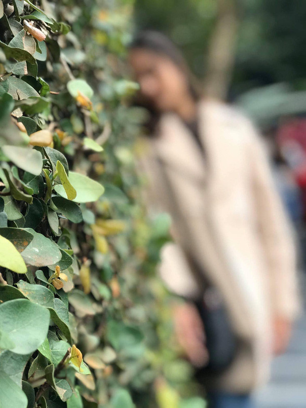 Cái không cần lấy nét yên tâm là sẽ nét căng còn chủ thể cần chụp thì ôi thôi, xin lỗi em nhé.