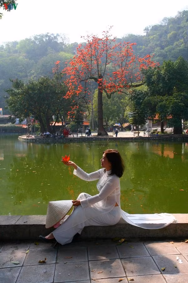 Rất nhanh chóng, nơi đây thành điểm đến của nhiều người tới chiêm ngưỡng vẻ đẹp hoa gạo và chụp ảnh lưu niệm với mùa hoa gạo.