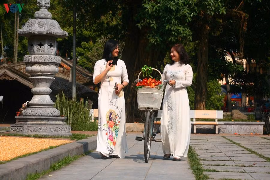 Những bông hoa rụng trở thành “đạo cụ” để nhớ một mùa hoa.