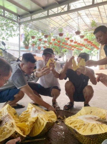 Năm nay, cây mít chỉ ra đúng 5 quả. Quả mít gần 55kg là quả đầu tiên được hái xuống, 4 quả còn lại có cân nặng khoảng 10 đến 20kg, ông Thiệu vẫn đang đợi đến ngày thu hoạch.