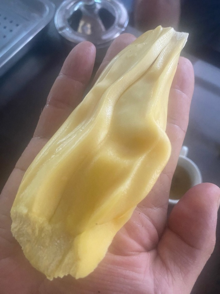 Ông Thiệu cũng rất bất ngờ khi cây mít mình trồng lại cho quả to, ngon như vậy. Ông không có bí quyết gì đặc biệt trong việc chăm sóc, chỉ tưới cây hằng ngày như bình thường.