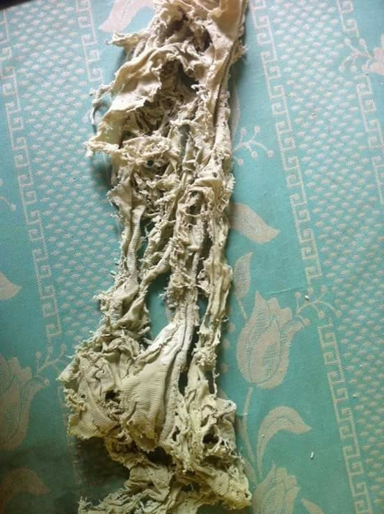 Một số bạn còn đùa vui là tiền quỹ học sinh dùng "mua muối chấm trái cây rồi" nên đành bấm bụng dùng nốt những chiếc khăn tồi tàn đến vậy.