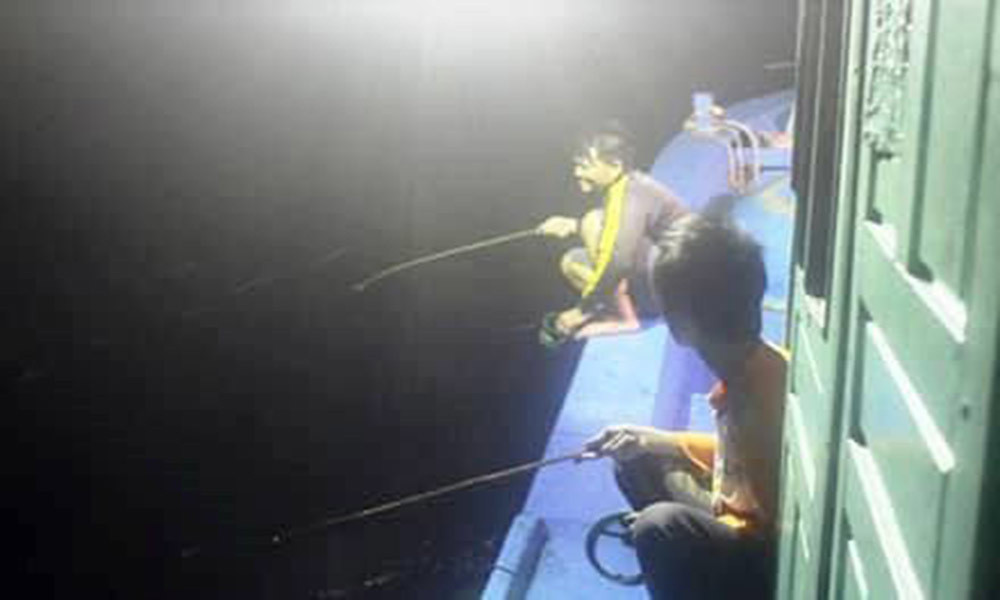 Con nhay tanh tach, tien trieu moi kg van khong co de ban-Hinh-3