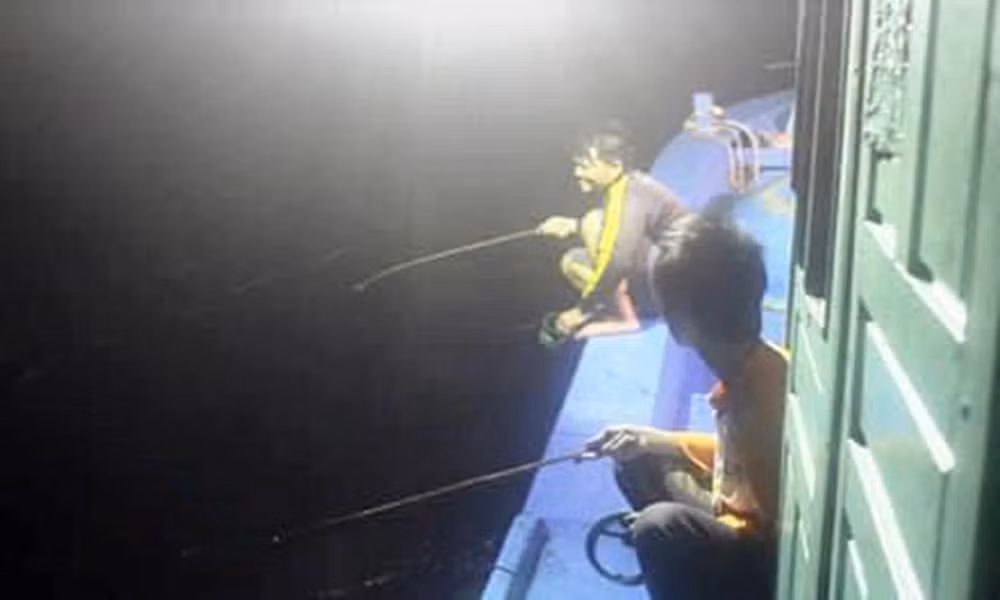 Con nhay tanh tach, tien trieu moi kg van khong co de ban-Hinh-3