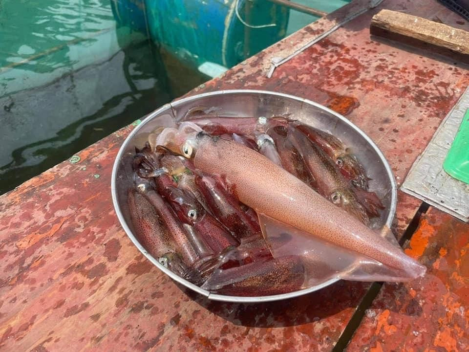 Con nhay tanh tach, tien trieu moi kg van khong co de ban-Hinh-9