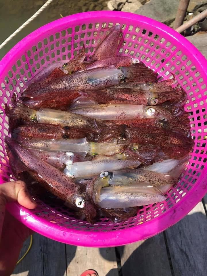 Con nhay tanh tach, tien trieu moi kg van khong co de ban-Hinh-8