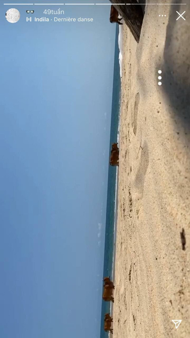 Nếu là người follow rich kid Hiếu Nguyễn, nhiều người không còn lạ gì với kiểu đăng cảnh bị lộn ngược lộn xuôi và muốn xem phải lật ngang, lật dọc chiếc điện thoại.