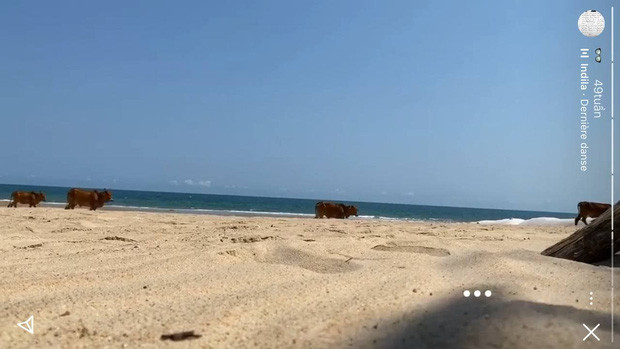 Cũng chính bởi những bức ảnh trên dòng story khó hiểu, các thành viên mạng thường đùa rằng muốn xem được dòng lịch sử của con trai nhà tỷ phú Johnathan Hạnh Nguyễn người xem cần phải chắc chắn rằng không bị đau cổ, vai, gáy.