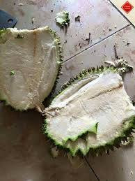 Thông thường, sầu riêng Ri6 được trồng rất nhiều ở các tỉnh miền Tây Nam Bộ.