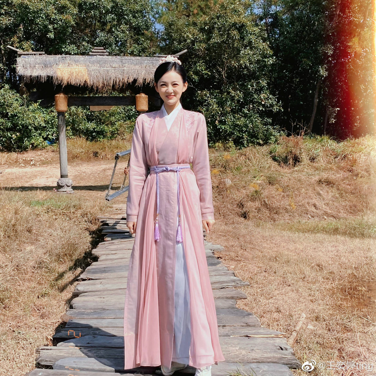 Vương Dịch Đình từng tham gia các phim như Vân tịch truyện, Gia Nam truyện, Như Ý Phương phi, Tương tư lệnh, Thủy nguyệt kính hoa, Tình yêu gặp Darwin. Trong đó, nữ diễn viên chỉ đóng vai phụ không có nhiều đất diễn nên chưa có cơ hội bật lên.