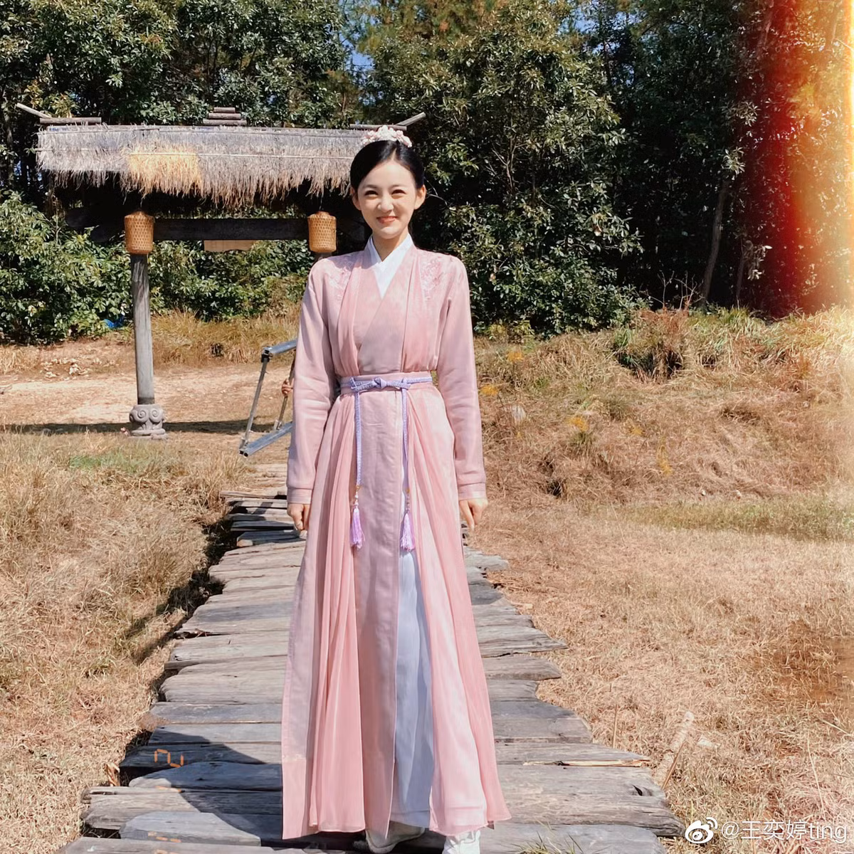 Vương Dịch Đình từng tham gia các phim như Vân tịch truyện, Gia Nam truyện, Như Ý Phương phi, Tương tư lệnh, Thủy nguyệt kính hoa, Tình yêu gặp Darwin. Trong đó, nữ diễn viên chỉ đóng vai phụ không có nhiều đất diễn nên chưa có cơ hội bật lên.