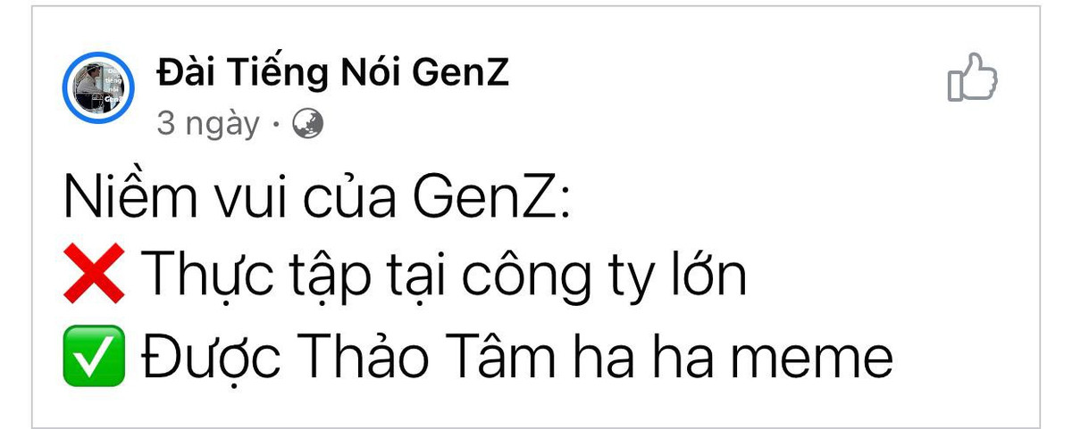Chẳng những thế, Nguyễn Lâm Thảo Tâm còn là "fan cứng" trong một hội nhóm facebook có nội dung giải trí liên quan đến "tâm tình" của những bạn trẻ Gen Z. Cô nàng thường xuyên "comment dạo" dưới các bài đăng và được nhiều bạn trẻ hào hứng trả lời.