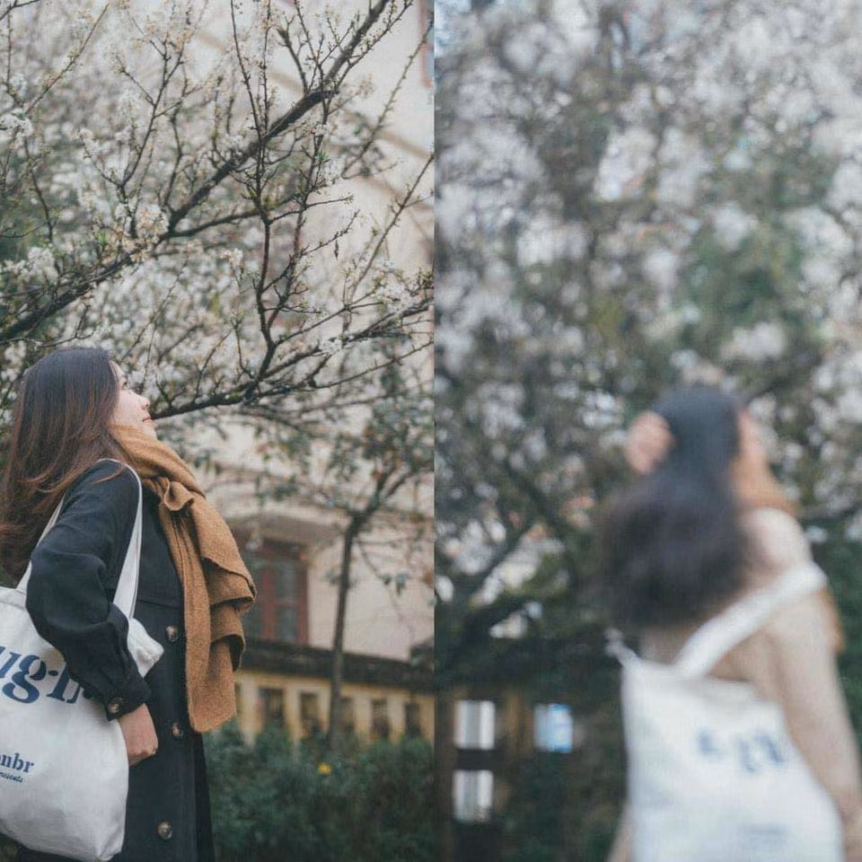 Mới đây bộ ảnh nhờ bạn thân chụp ảnh ở Sapa khi du Xuân đã khiến cư dân mạng được phen cười nghiêng ngả.