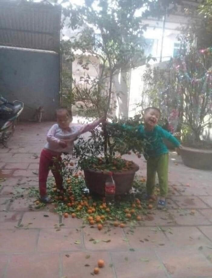 Bức ảnh này khi vừa mới đăng tải đã nhanh chóng "gây bão" mạng xã hội và nhận được lượt tương tác lớn của cư dân mạng.