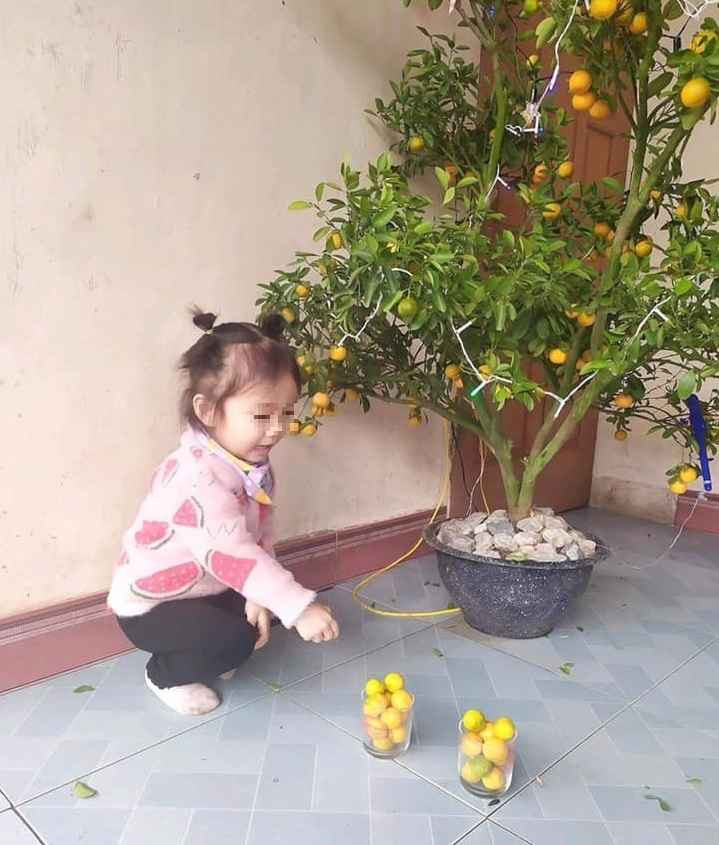 Hình ảnh một bé gái "phá tan tành" cây quất của gia đình với lời chú thích hài hước: "Đừng bao giờ để tôi ở nhà một mình rồi đi đú đởn với nhau nhé".
