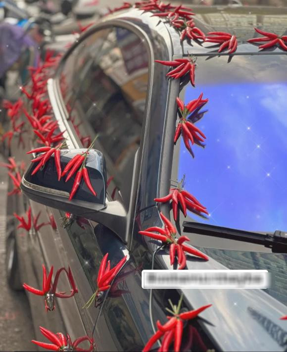 Không chỉ phần đầu xe hoa mà phía sau cũng được nhấn nhá tô điểm bằng những trái ớt đỏ.