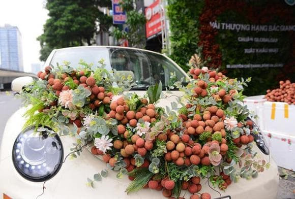 Cách đây chưa lâu, cư dân mạng không ngừng chia sẻ hình ảnh một chiếc xe hoa được trang trí bằng hoa quả khiến nhiều người không khỏi thích thú.