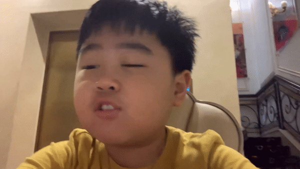 Hằng Hữu từng khẳng định sử dụng tiếng Việt không tốt vì chỉ giỏi tiếng Anh.