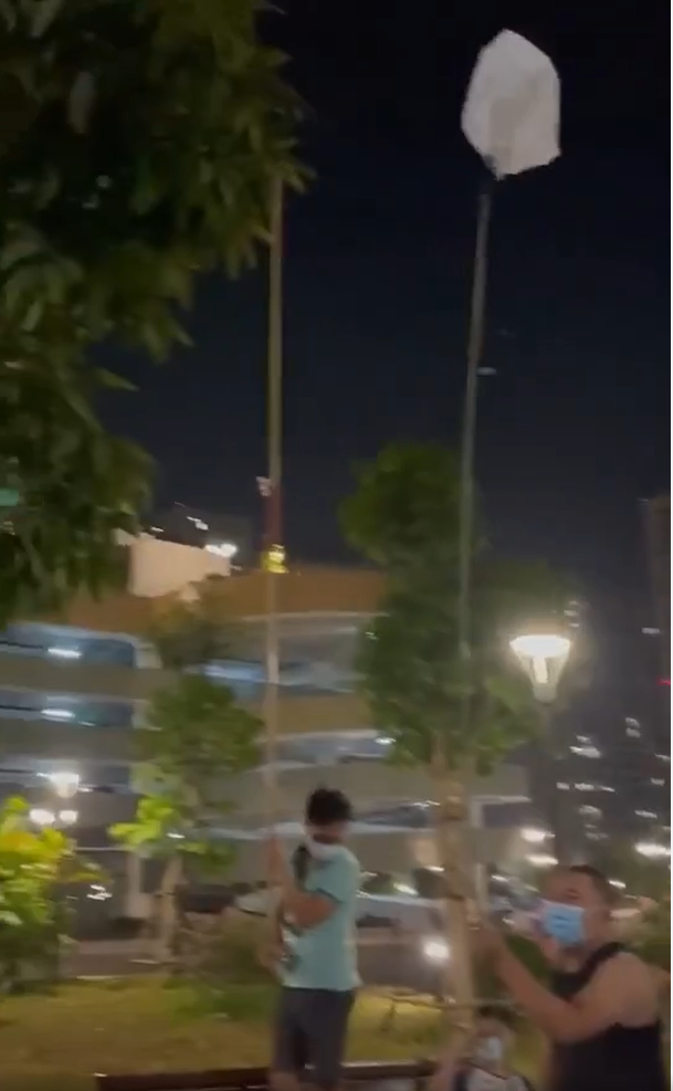 Dưới clip, một số dân mạng bình luận như: "Vui thế, bên mình cũng đang có mấy cây chín mà chưa thấy mọi người rủ nhau xuống hái" hay "Bà con năm nay vụ mùa bội thu quá! Hái xong về ăn ngay hoặc về dầm muối ớt ngon bá cháy".